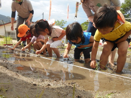 田植え