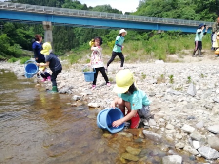 アユの放流