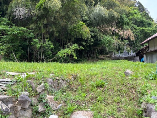 町道から地面撮影