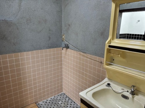 detached 川本町川下