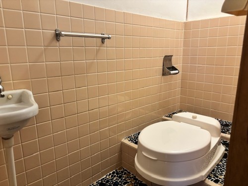 detached 川本町川下